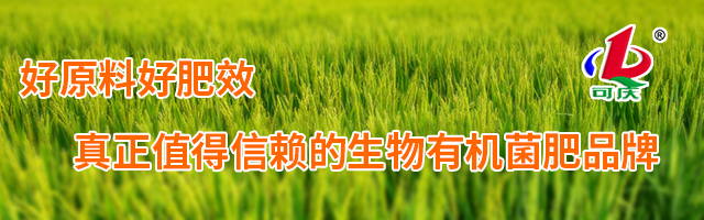 生物有机肥厂家